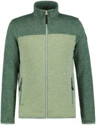 Icepeak vyriškas megztinis AGEN, mėtų žalias. Bluzy męskie Tom Tailor, m, bez wzorów, bez ramiączek, bez kaptura. Za 250.55 zł.