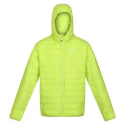 Męska Kurtka Pikowana Z Kapturem + Worek Hillpack. Żółte kurtki męskie Regatta, m, bez wzorów, sportowe, z kapturem. Za 103.99 zł.