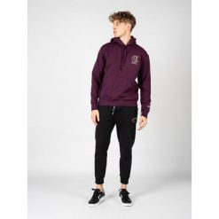 Bluza trekking męska Hoodie. Fioletowe bluzy męskie Champion, m, bez wzorów, z bawełny, z kapturem, trekkingowe. Za 208.00 zł.