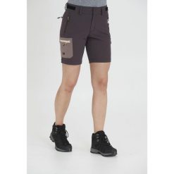 Spodenki damskie Whistler Globe Stretch. Szare szorty damskie Whistler, bez wzorów. Za 199.99 zł.