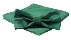 Mucha Męska z Poszetką, Butelkowa Jednokolorowa w Drobny Prążek -ALTIES. Zielone krawaty i muchy Alties, bez wzorów, eleganckie. Za 54.00 zł.
