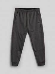 4F Spodnie treningowe szybkoschnące męskie - szare S. Szare spodnie sportowe męskie 4F, l, bez wzorów, z materiału, na fitness i siłownię. Za 179.99 zł.