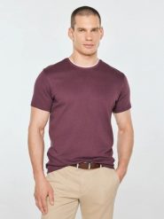 Koszulka męska z kontrastowym wykończeniem bordowa micel 604. Czerwone t-shirty męskie BIG STAR, l, bez wzorów, z dzianiny, bez kołnierzyka, bez ramiączek. Za 99.99 zł.