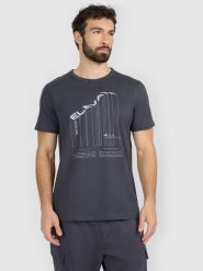 4F T-shirt regular z nadrukiem męski - szary M. Szare t-shirty męskie 4F, m, bez wzorów, z bawełny, bez kołnierzyka, bez ramiączek. Za 69.99 zł.