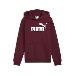 Młodzieżowa polarowa bluza z kapturem ESS z logo No. 1 PUMA Ruby Shimmer Red. Czerwona bluzy damskie Puma, m, bez wzorów, z dżerseju, młodzieżowe, bez ramiączek, z kapturem. Za 159.00 zł.