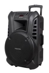 Aktywna kolumna głośnikowa (z 2 mikrofonami bezprzewodowymi UHF, SD, Bluetooth, FM, USB) 60 Watt. Głośniki przenośne No Name. Za 1,017.99 zł.