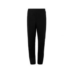 Spodnie turystyczne dla kobiet Regatta Pentre Stretch II. Czarne spodnie sportowe damskie Regatta, na lato, bez wzorów, sportowe, trekkingowe. Za 179.99 zł.