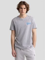 Koszulka męska z nadrukiem na plecach szara Leon 901. Szare t-shirty męskie BIG STAR, l, bez wzorów, z dzianiny, bez kołnierzyka, bez ramiączek. W wyprzedaży za 29.99 zł.