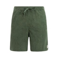 Protest PRTUleyo shorts - Thyme. Zielone szorty męskie Protest, bez wzorów. Za 290.50 zł.
