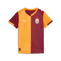 Młodzieżowa koszulka domowa Galatasaray SK 25/26 PUMA. Brązowa bluzki damskie Puma, m, bez wzorów, młodzieżowe, bez kołnierzyka, bez ramiączek. Za 349.00 zł.