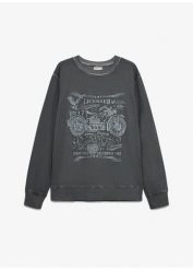 Bluza dresowa z czystej bawełny. Niebieskie bluzy męskie bonprix, m, bez wzorów, z bawełny, vintage, bez ramiączek, bez kaptura. Za 109.99 zł.
