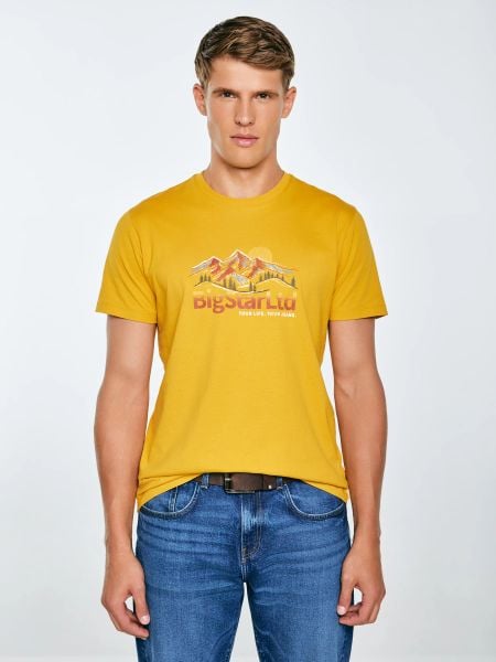 Koszulka męska z nadrukiem żółta Mifer 201. Żółte t-shirty męskie BIG STAR, l, bez wzorów, z bawełny, bez kołnierzyka, bez ramiączek. Za 99.99 zł.