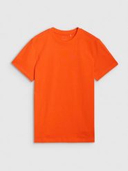 4F T-shirt regular z nadrukiem męski - pomarańczowy M. Brązowe t-shirty męskie 4F, m, bez wzorów, z bawełny, bez kołnierzyka, bez ramiączek. W wyprzedaży za 39.99 zł.
