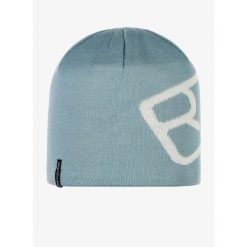 Czapka zimowa Ortovox Pro Beanie - glacier grey. Zielone czapki damskie ORTOVOX, na zimę, bez wzorów. Za 172.99 zł.