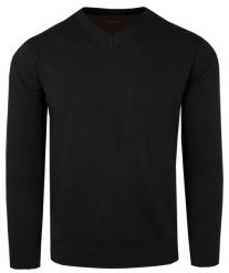 Męski Sweter z Dekoltem w Serek (V-Neck) - Alties - Czarny. Czarne swetry męskie Alties, l, bez wzorów, z bawełny, casualowe, bez kołnierzyka, bez ramiączek. Za 159.00 zł.