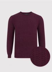 PAKO LORENTE – Męski sweter w kolorze burgundowym. Czerwone swetry męskie Pako Lorente, na jesień, m, bez wzorów, z bawełny, bez kołnierzyka, bez ramiączek. Za 89.99 zł.
