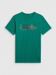 4F T-shirt regular z nadrukiem męski - zielony 3XL. Zielone t-shirty męskie 4F, m, bez wzorów, z bawełny, bez kołnierzyka, bez ramiączek. Za 69.99 zł.