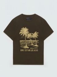 Koszulka męska z kontrastowym nadrukiem khaki Omer 303. Zielone t-shirty męskie BIG STAR, l, bez wzorów, z bawełny, bez kołnierzyka, bez ramiączek. Za 79.99 zł.