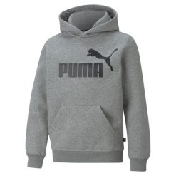 Młodzieżowa bluza z kapturem z dużym logo Essentials PUMA Medium Gray Heather. Szara bluzy damskie Puma, m, bez wzorów, klasyczne, bez ramiączek, z kapturem. Za 157.10 zł.