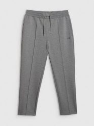 4F Spodnie dresowe męskie - szare L. Szare spodnie sportowe męskie 4F, l, bez wzorów, z bawełny. Za 199.99 zł.