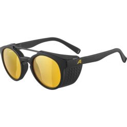 Okulary przeciwsłoneczne Alpina Glace P. Brązowe okulary przeciwsłoneczne damskie Alpina. Za 299.00 zł.