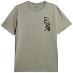 4f KOSZULKA MĘSKA BAWEŁNIANA T-SHIRT MĘSKI SPORTOWY Z NADRUKIEM 4F M2665. Koszulki sportowe męskie 4F, m, bez wzorów, z bawełny, bez ramiączek. Za 34.90 zł.