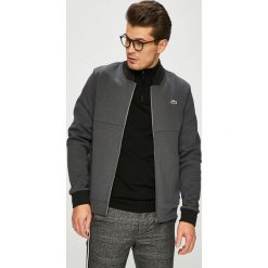 Lacoste - Bluza. Szare bluzy męskie Lacoste, m, bez wzorów, z bawełny, bez ramiączek, bez kaptura. W wyprzedaży za 539.90 zł.