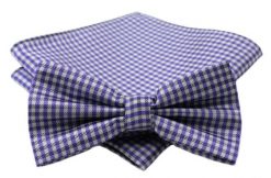 Fioletowa Męska Mucha w Drobną Kratę - ALTIES - z Taką Samą Poszetką. Fioletowe krawaty i muchy Alties, bez wzorów, eleganckie. Za 40.00 zł.