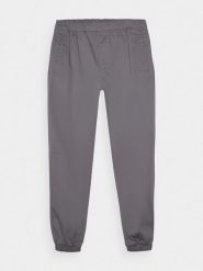 4F Spodnie casual joggery męskie - szare L. Szare spodnie materiałowe męskie 4F, bez wzorów, z bawełny. W wyprzedaży za 99.99 zł.