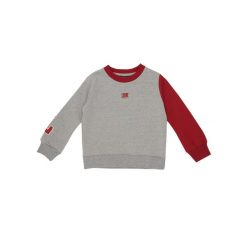 Bluza z ściągacze na co dzień na siłownię. Szare bluzy męskie LEONE 1947 APPAREL, bez wzorów, z bawełny, sportowe, bez ramiączek, bez kaptura. Za 63.11 zł.