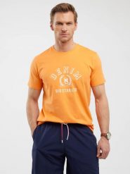 Koszulka męska z nadrukiem pomaraŅczowa Bester 703. Brązowe t-shirty męskie BIG STAR, l, bez wzorów, z bawełny, bez kołnierzyka, bez ramiączek. W wyprzedaży za 59.99 zł.