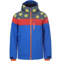 Wodoodporna kurtka narciarska dla mężczyzn - IcePeak Centertown Wadded. Fioletowe kurtki sportowe męskie Icepeak, na zimę, m, bez wzorów, bez kaptura, narciarskie. Za 324.99 zł.