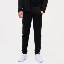 Spodnie dresowe męskie Puma Active Gym & Pilates. Czarne spodnie sportowe męskie Puma, m, bez wzorów, z bawełny, na fitness i siłownię. Za 199.99 zł.