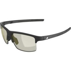 Okulary przeciwsłoneczne Alpina Eagle Q-Lite. Czarne okulary przeciwsłoneczne damskie Alpina. Za 219.99 zł.