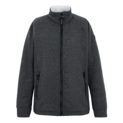 Damska Bluza Polarowa Emilde Z Pełnym Zamkiem Błyskawicznym. Szare bluzy damskie Regatta, na zimę, bez wzorów, z polaru, bez ramiączek, bez kaptura. Za 103.99 zł.