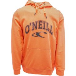 Bluza z kapturem O'Neill LM State, Mężczyźni. Brązowe bluzy męskie O'Neill, m, bez wzorów, z bawełny, z kapturem. Za 290.00 zł.