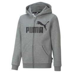 Młodzieżowa bluza z kapturem z dużym logo Essentials PUMA Medium Gray Heather. Szara bluzy męskie Puma, m, bez wzorów, klasyczne, bez ramiączek, z kapturem. Za 204.35 zł.