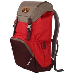 Plecak sportowy trekkingowy turystyczny miejski Deuter Walker 20L. Czerwone plecaki męskie Deuter, bez wzorów, biznesowe. Za 239.00 zł.