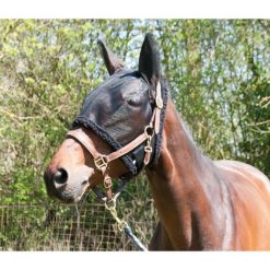 Czapka dla koni wypasanych na pastwisku T de T. Czarne czapki damskie T DE T, bez wzorów, sportowe. Za 183.50 zł.