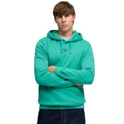 Bluza męska Puma ESS No.1 Logo Centered Hoodie. Zielone bluzy męskie Puma, m, bez wzorów, z bawełny, sportowe, bez ramiączek, bez kaptura. Za 168.99 zł.