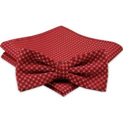 Modna Mucha Męska - Alties - Odcienie Pomarańczowego. Brązowe krawaty i muchy Alties, bez wzorów, eleganckie. Za 40.00 zł.
