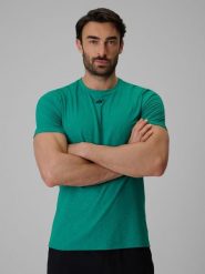 4F Koszulka treningowa regular szybkoschnąca męska - zielona S. Zielone t-shirty męskie 4F, m, bez wzorów, z materiału, bez kołnierzyka, bez ramiączek. Za 99.99 zł.