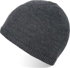 Paolo Peruzzi Czapka zimowa męska szara PAOLO PERUZZI A-08-GR. Szare czapki męskie Paolo Peruzzi, na zimę, bez wzorów. Za 64.42 zł.
