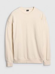 4F Bluza dresowa oversize nierozpinana bez kaptura męska - beżowa M. Brązowe bluzy męskie 4F, m, bez wzorów, z bawełny, klasyczne, bez ramiączek, bez kaptura. W wyprzedaży za 89.99 zł.