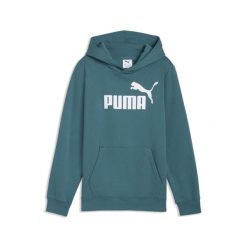 Młodzieżowa polarowa bluza z kapturem ESS z logo No. 1 PUMA. Szara bluzy damskie Puma, m, bez wzorów, z dżerseju, młodzieżowe, bez ramiączek, z kapturem. Za 149.00 zł.