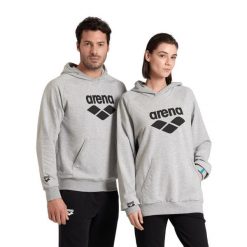 Bluza Arena Arena Hooded Sweat Graphic z kapturem. Szare bluzy damskie ARENA, xs, bez wzorów, z bawełny, sportowe, bez ramiączek, z kapturem. Za 269.99 zł.