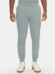 Puma Spodnie dresowe Ess 684714 Zielony Regular Fit. Zielone spodnie sportowe męskie Puma, m, bez wzorów, z bawełny. Za 129.99 zł.