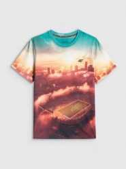 4F T-shirt regular z nadrukiem męski - multikolor XL. T-shirty męskie 4F, m, bez wzorów, z materiału, bez kołnierzyka, bez ramiączek. Za 79.99 zł.