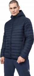 4f Kurtka męska KUMP004 SW22 4F XL. Kurtki męskie 4F, m, bez wzorów, bez kaptura. Za 249.00 zł.