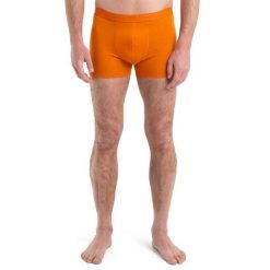 Bokserki Męskie Icebreaker Anatomica Cool-Lite. Brązowe bokserki męskie Icebreaker, bez wzorów, z wełny. Za 139.99 zł.